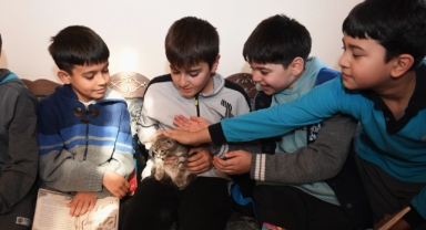 Öğrenciler bu kütüphanede hem kitap okuyor hem de kedileri seviyor
