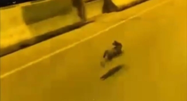 Otoyolda gördüğü tavşanla yarıştı
