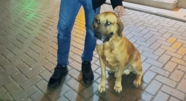 Tarçın'ın cami nöbeti
