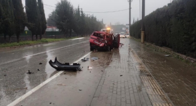 Ağaca çarpan araçtaki 2 kişi yaralandı