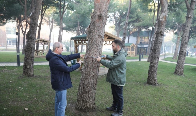 BTÜ’de orman envanterine katkı sağlayacak proje geliştiriliyor