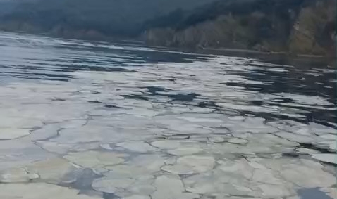 Gemlik Körfezi'nde müsilaj kabusu!