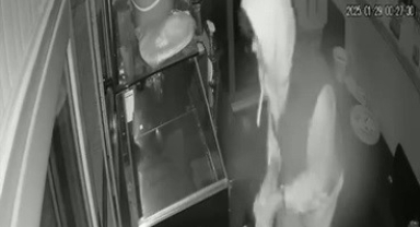 Kafe hırsızı kamerada