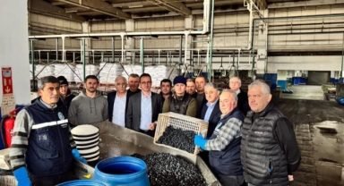 Kaymakam Karaman İznik Zeytin Kooperatifi'ni ziyaret etti