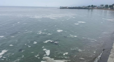 Mudanya sahillerini müsilaj sardı