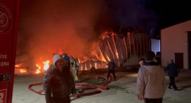 Nilüfer'de çıkan yangında fabrika küle döndü