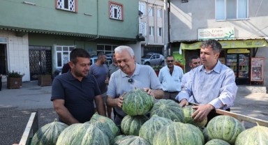 Tarım Nilüfer'de yeniden canlanıyor