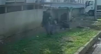Vatandaş kaçtı, köpek kovaladı