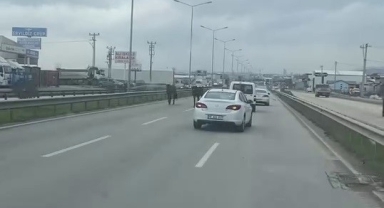 Başıboş atlar ana yolda tehlike saçıyor