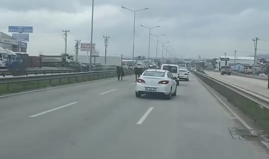 Başıboş atlar ana yolda tehlike saçıyor