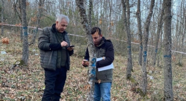 Bursa Ormanlarındaki ağaçlar tek tek kontrol edildi