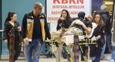 Kediden korktu camın üzerine düştü