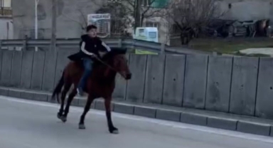 Trafiğe atla çıkan genç anayolda dört nala koştu
