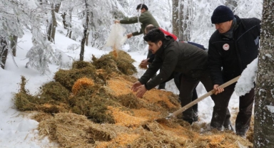 Uludağ'daki yaban hayvanları unutulmadı