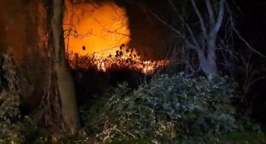İznik’te sazlık alanda korkutan yangın