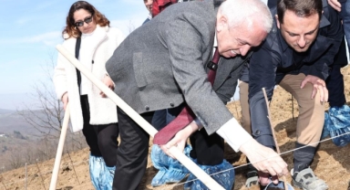 Nilüfer'de ahududu üretimi çiftçiye örnek olacak