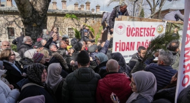 Ücretsiz fidana büyük ilgi