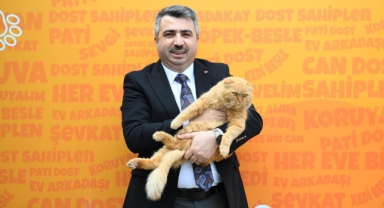 Yıldırım'da 625 patili dost sıcak yuvaya kavuştu