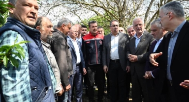 Bakan Yardımcısı Gümen zirai don gören bahçeleri inceledi
