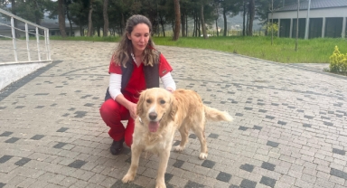 Büyükşehir, bayramda da can dostların yanında