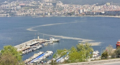 Gemlik'te korkutan manzara