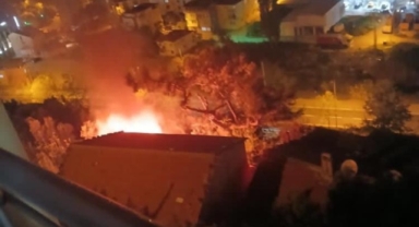 Gemlik'te korkutan odunluk yangını