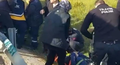 Kargo kamyonu devrildi : 2 yaralı