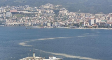 Mudanya sahilinde görülen müsilaj tedirgin etti