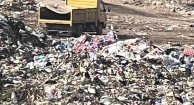 Osmangazi'de hayvan katliamı kenti ayağa kaldırdı