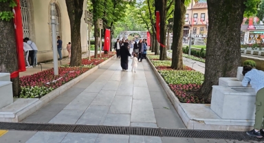 Bursa çiçek bahçesine dönüşüyor
