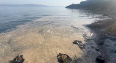 Gemlik'te müsilaj paniği