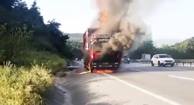Hayvan yüklü kamyon alevlere teslim oldu