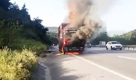 Hayvan yüklü kamyon alevlere teslim oldu