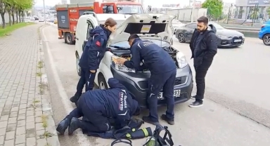 İtfaiye ekiplerinin kedi kurtarma operasyonu