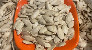 Kabak çekirdeğine