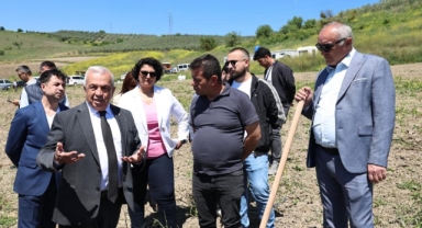 Konaklı’da 800 zeytin fidanı toprakla buluştu