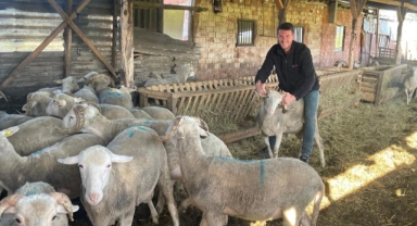 Kurbanlıkları satıp kazancıyla Temmuz'da evlenecek