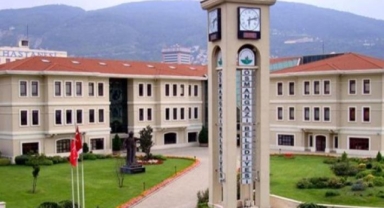 Osmangazi Belediyesi'nden barınakta yaşananlarla ilgili açıklama
