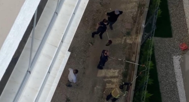 Tellere dolanan 1,5 metre boyundaki yılan korkuttu