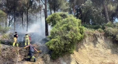 Gemlik'te çamlık alanda çıkan yangın kısa sürede söndürüldü