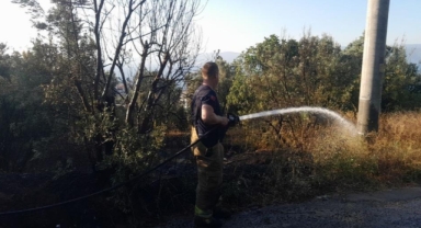 Mudanya’da karga yangına neden oldu
