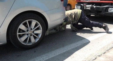 Yavru kedi, trafiği kilitledi