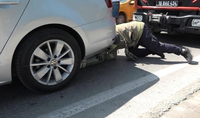 Yavru kedi, trafiği kilitledi