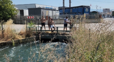 40 derecede sulama kanalında serinlediler