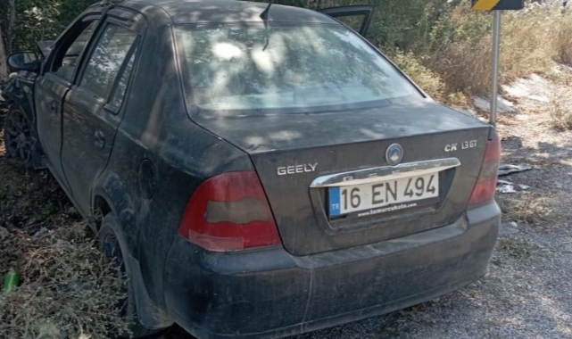Ağaca çarpan otomobildeki 2 kişi yaralandı