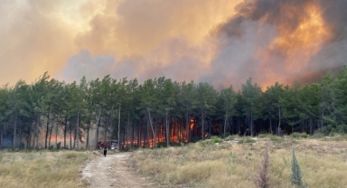 Antalya’da üç ayrı noktada yangın çıktı
