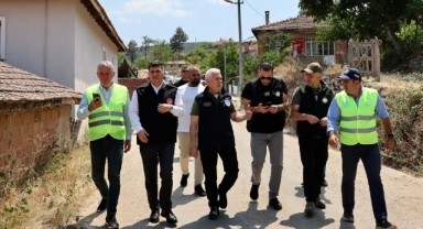Bozbey: ''10 bin futbol sahası kadar alanı kaybettik''