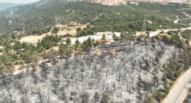 Gürsu yangınından yürek burkan bu manzaralar kaldı