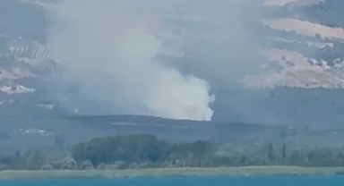 İznik'te orman yangını