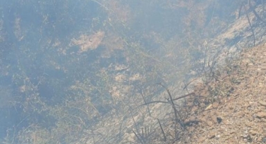 İznik’te orman yangını büyümeden söndürüldü